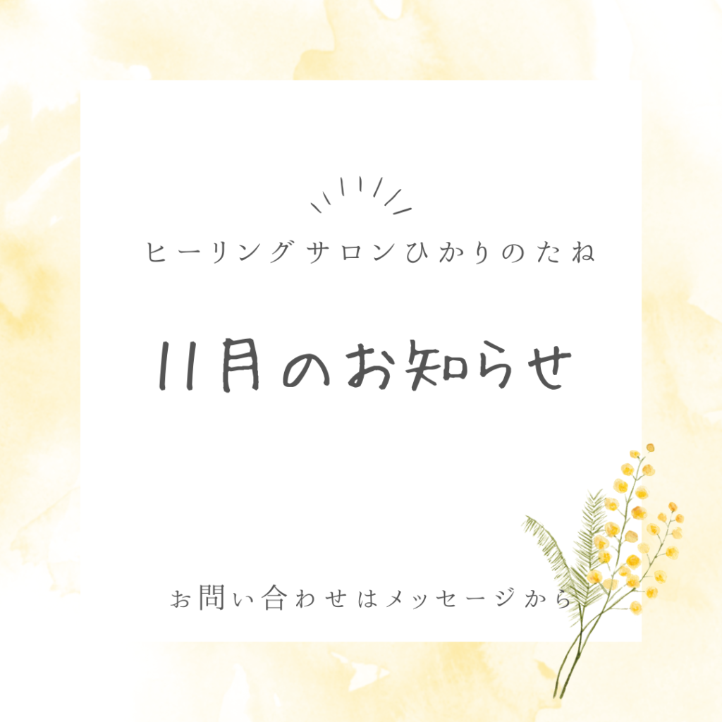 ひかりのたね11月のおしらせ