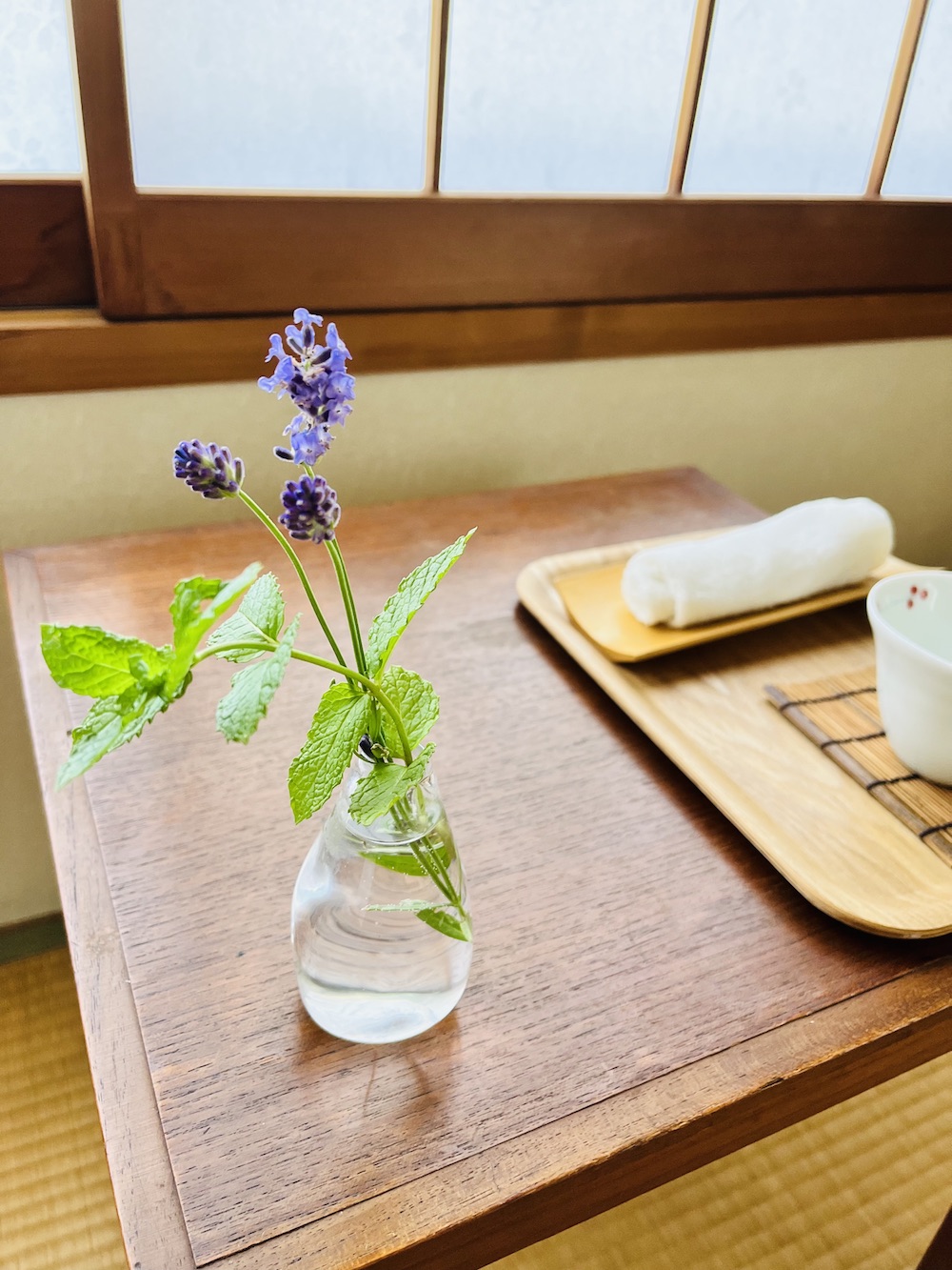 ひかりのたねサロン