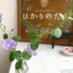 ヒーリングサロンひかりのたねエントランス看板
