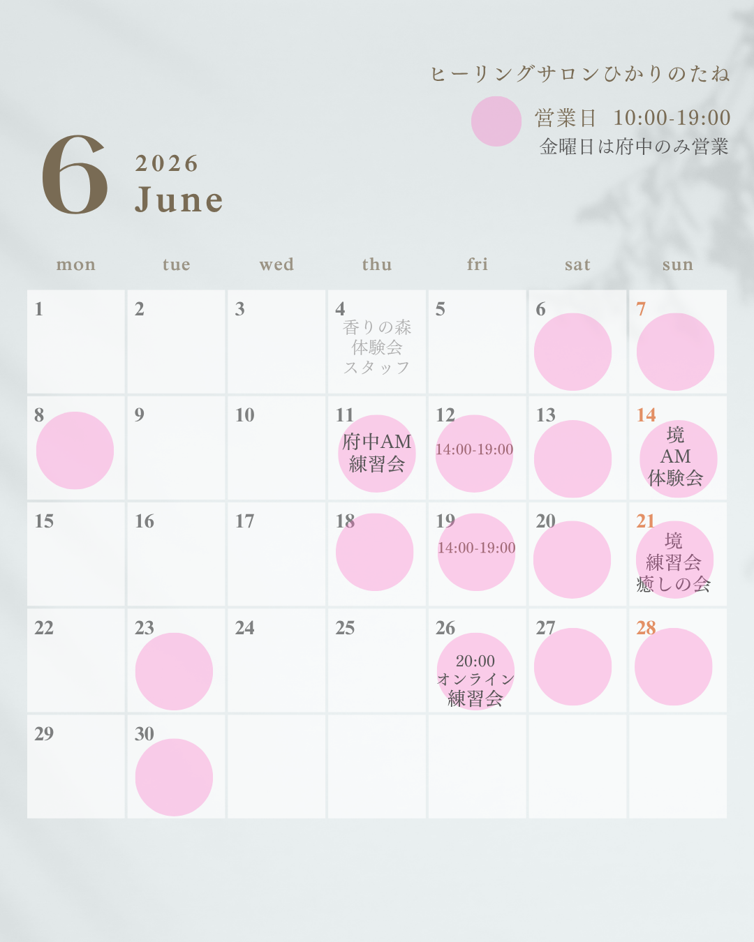 6月の予定